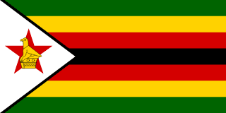 The flag of Zimbabwe is composed of seven equal horizontal bands of green, yellow, red, black, red, yellow and green, with a white isosceles triangle superimposed on the hoist side of the field. This triangle is edged in black, spans about one-fourth the width of the field and has its base on the hoist end. A yellow Zimbabwe Bird superimposed on a five-pointed red star is centered in the triangle.