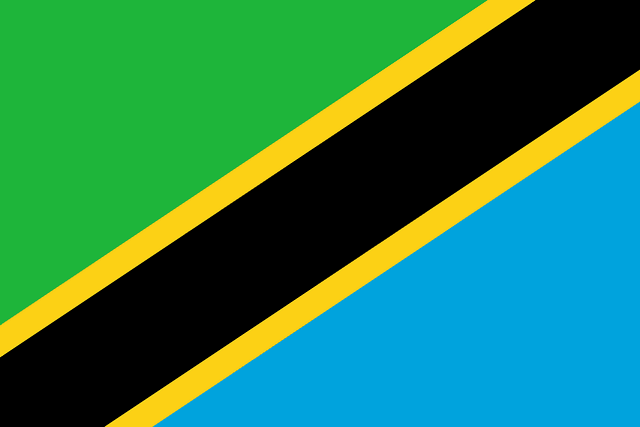 The flag of Tanzania features a yellow-edged black diagonal band that extends from the lower hoist-side corner to the upper fly-side corner of the field. Above and beneath this band are a green and light blue triangle respectively.
