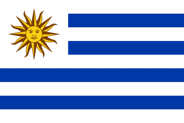 The flag of Uruguay is composed of nine equal horizontal bands of white alternating with blue, with a white square superimposed in the canton. In the white square is a yellow sun bearing a human face — the Sun of May — from which sixteen rays extend. The sun's rays alternate between triangular and wavy.